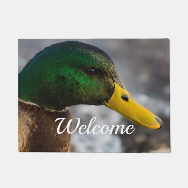 Männlich Mallard Portrait Willkommen Türmatte (Vorderseite)