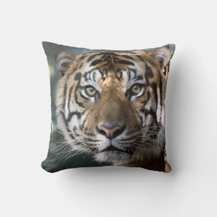 Männlich Sumatran Tiger (Panthera tigris sumatrae) Kissen