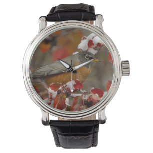 Männliche Amerikanische Rotdrossel in Schwarzdorn Armbanduhr