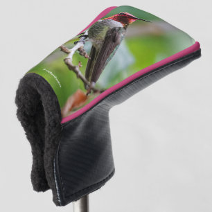 Männliche Anna's Hummingbird auf dem Pflaumenbaum Golf Headcover