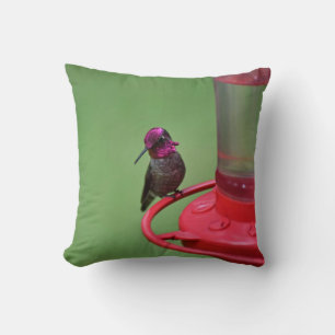 Männliche Anna's Hummingbird Pillow Kissen
