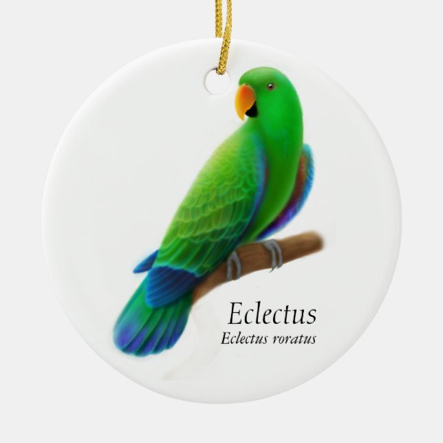 Männliche Eclectus Papageien-Verzierung Keramikornament (Vorne)