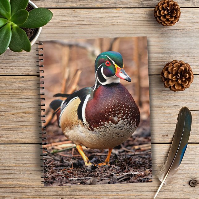 Männliche Holzente im Wald Notizblock (Wood Duck in the Woods Journal Cover Photo)
