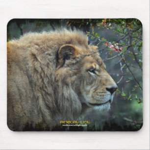 Männliche Löwe Big Cat Wildlife-Liebhaber Foto Mou Mousepad