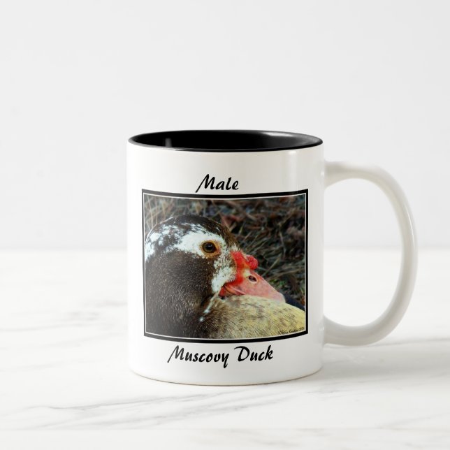 Männliche Muscovy-Ente Zweifarbige Tasse (Rechts)