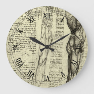 Männliche Muskeln der menschlichen Anatomie von Le Große Wanduhr