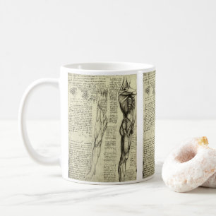 Männliche Muskeln der menschlichen Anatomie von Le Kaffeetasse