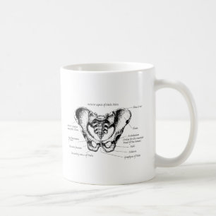 Männliche Pelvis-Details Kaffeetasse