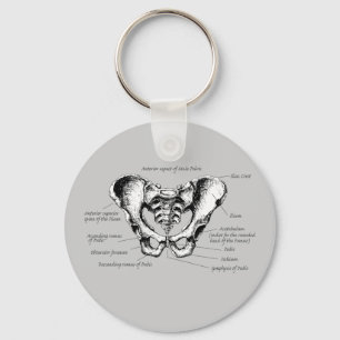 Männliche Pelvis-Details Schlüsselanhänger
