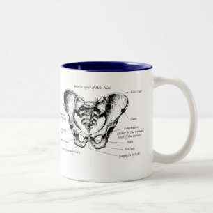 Männliche Pelvis-Details Zweifarbige Tasse