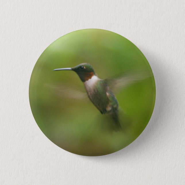 Männliche Ruby Throat Hummingbird Button (Vorderseite)