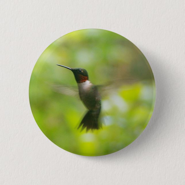Männliche Ruby Throat Hummingbird Button (Vorderseite)