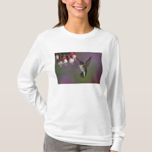 Männliche Ruby throated Hummingbird, Archilochus T-Shirt