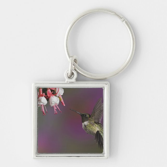 Männliche Ruby thropogene Hummingbird Schlüsselanhänger (Vorne)