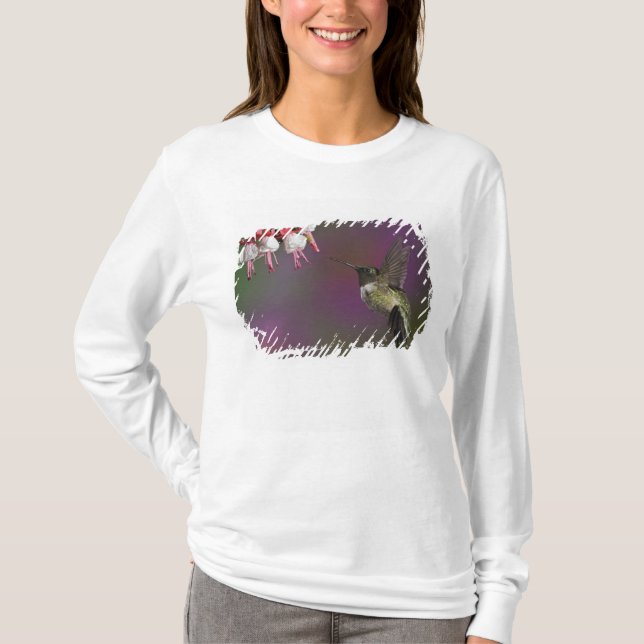 Männliche Ruby thropogene Hummingbird T-Shirt (Vorderseite)