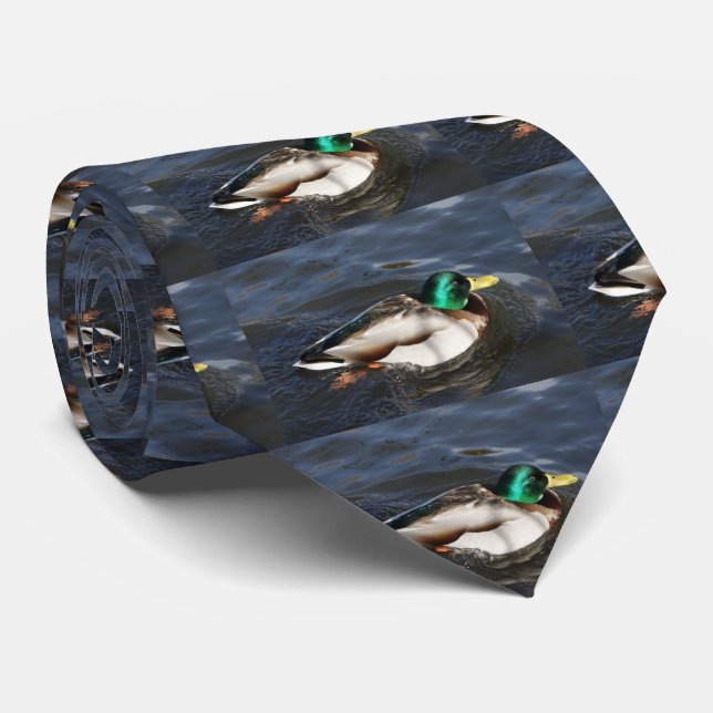 Männliche Stockenten-Enten-Krawatte Krawatte (Gerollt)