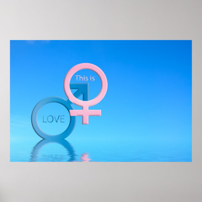 Männliche und weibliche Symbole Poster (Vorne)