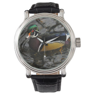 Männliche Waldschnatter bei Crystal Springs Rhodod Armbanduhr