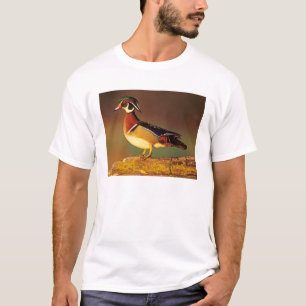 Männliche Waldschnatter, Illinois T-Shirt