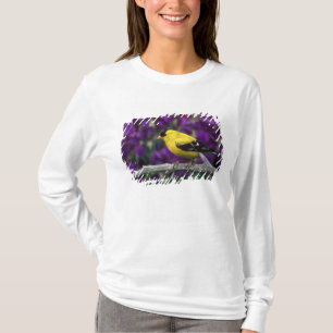 Männlicher Amerikanischer Goldfink im Sommerkleid, T-Shirt