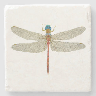 Männlicher Blau-Gesichtiger Meadowhawk Steinuntersetzer