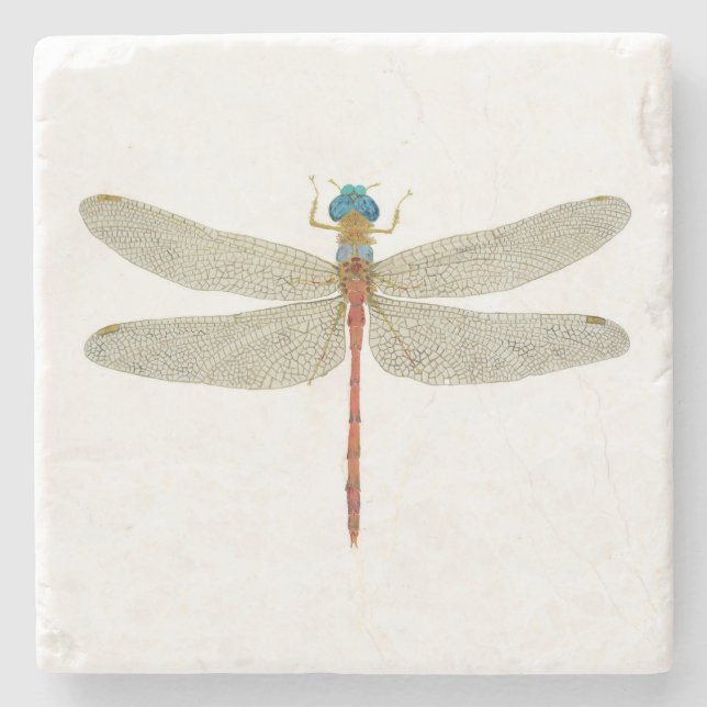 Männlicher Blau-Gesichtiger Meadowhawk Steinuntersetzer (Vorderseite)