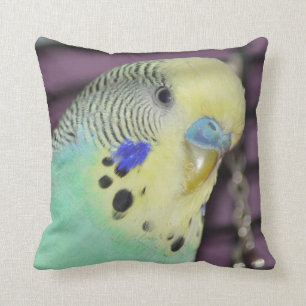 Männlicher Budgie/Parakeet Kissen