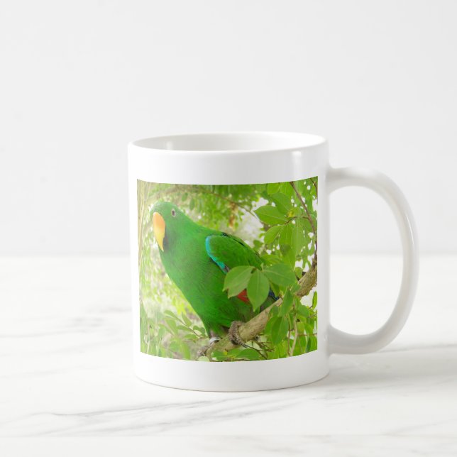 Männlicher Eclectus Papagei Kaffeetasse (Rechts)