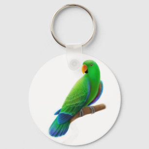 Männlicher Eclectus-Schlüsselanhänger Schlüsselanhänger