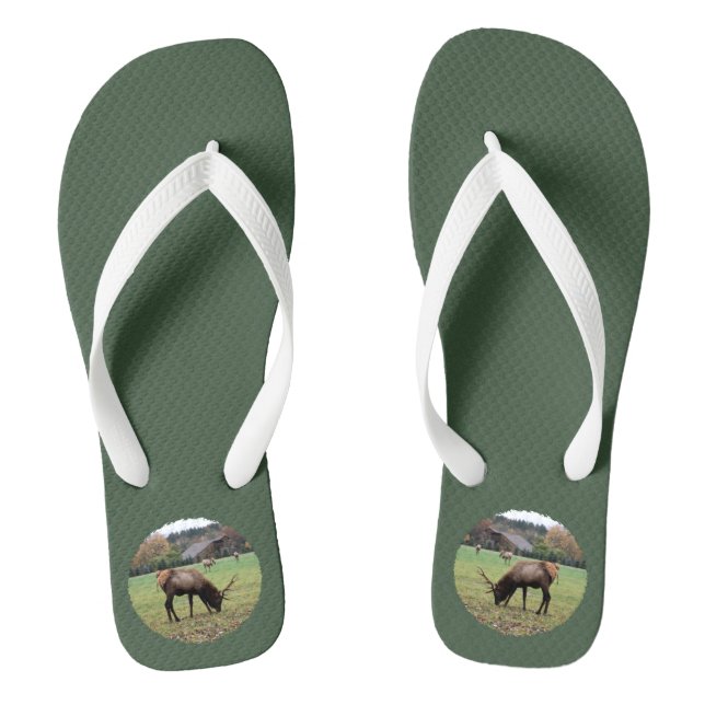 Männlicher Elch Antlers Foto Weiden auf Feldgrün Flip Flops (Fußbett)