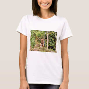 Männlicher Elch im Rocky Mountain Nationalpark, Co T-Shirt