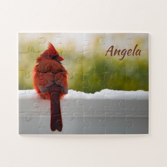 Männlicher Kardinal 14x11 leicht (Horizontal)