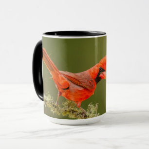 Männlicher Kardinal auf Ast Tasse