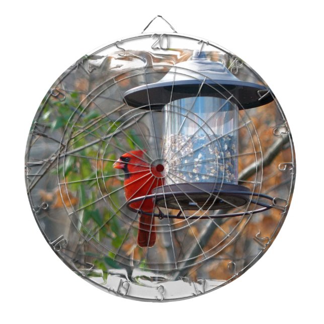 Männlicher Kardinal Dartscheibe (vorne)