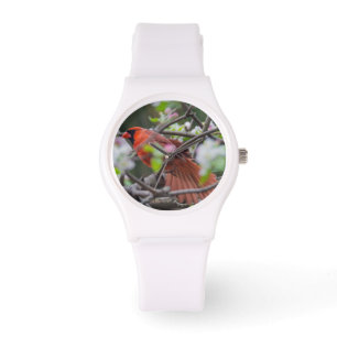 Männlicher Kardinal im Springtime Armbanduhr