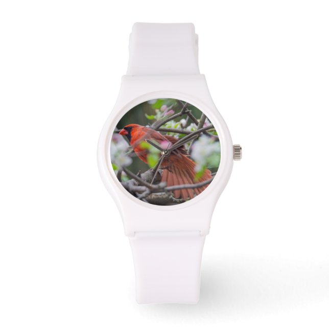 Männlicher Kardinal im Springtime Armbanduhr (Vorderseite)