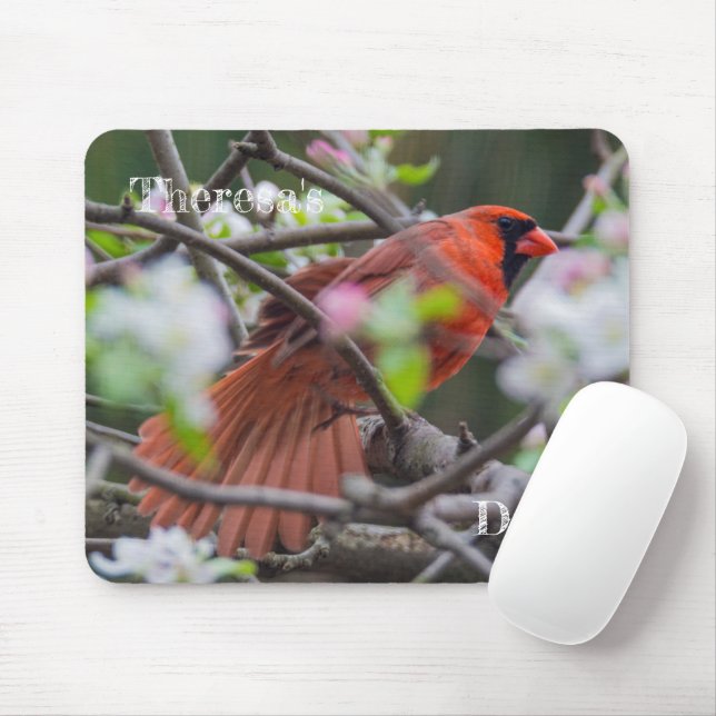 Männlicher Kardinal im Springtime Mousepad (Mit Mouse)