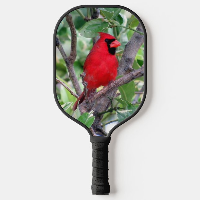 Männlicher Kardinal im Zitronenbaum Pickleball Pad Pickleball Schläger (Vorderseite)
