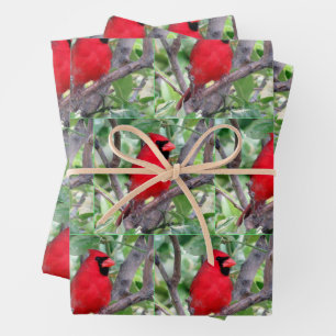 Männlicher Kardinal - Kleinbild - Verpackungspapie Geschenkpapier Set