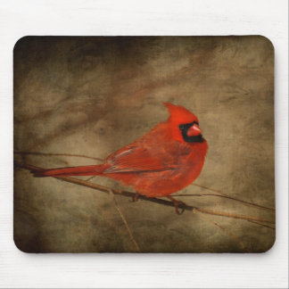 Männlicher Kardinal Mousepad