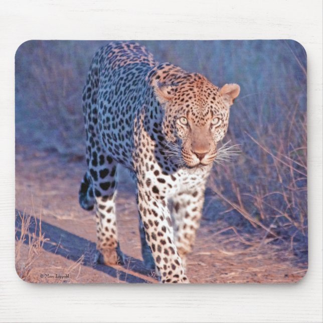 Männlicher Leopard Mousepad (Vorne)