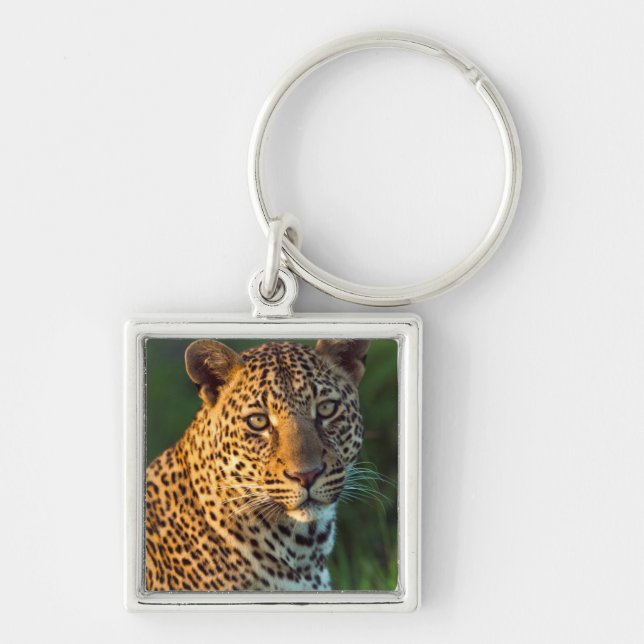 Männlicher Leopard (Panthera Pardus) Grobgrieß Schlüsselanhänger (Vorne)