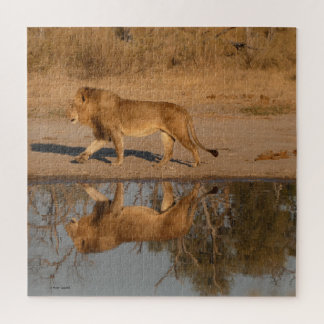 MÄNNLICHER LÖWE REFLEKTIERT