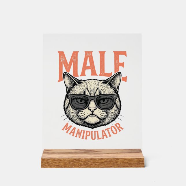 Männlicher Manipulator Lustige Katzen-Sonnenbrille Acrylschild (Vorderseite)