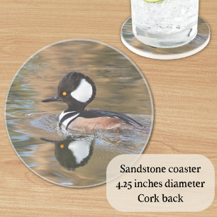 Männlicher Merganser Baden auf dem Bach Getränkeuntersetzer