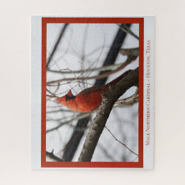 Männlicher nördlicher Kardinal; Bird Lover