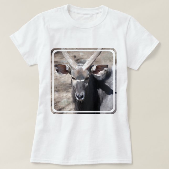 Männlicher Nyala T-Shirt (Design vorne)