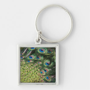 Männlicher Pfau (Pavo cristatus) Schwanz anzeigend Schlüsselanhänger