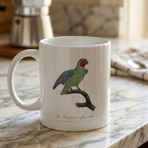 Männlicher Rotwangenpapagei, Geoffroyus geoffroyi Kaffeetasse