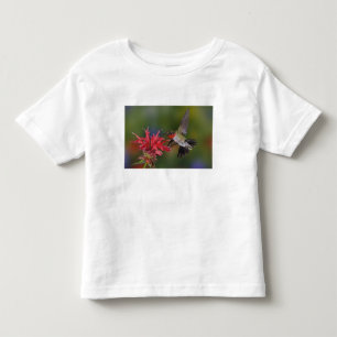Männlicher Rubinkehlkolibri Kleinkind T-shirt
